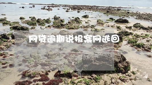 网贷逾期说报案网逃回 网贷逾期说报案网逃回