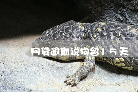 网贷逾期说拘留15天 网贷逾期说拘留15天