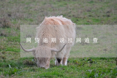网贷逾期说挂网追查 网贷逾期说挂网追查
