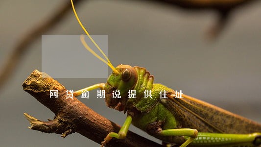 网贷逾期说提供住址 网贷逾期说提供住址