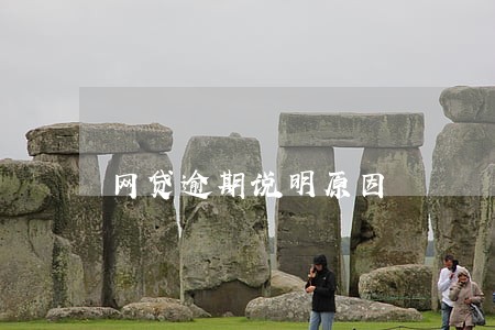 网贷逾期说明原因