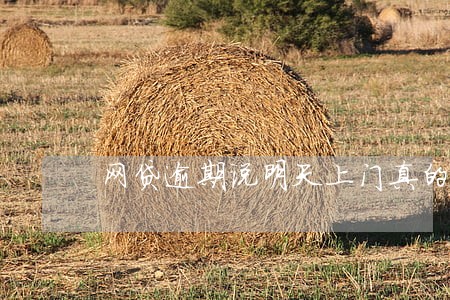 网贷逾期说明天上门真的吗 网贷逾期说明天上门真的吗