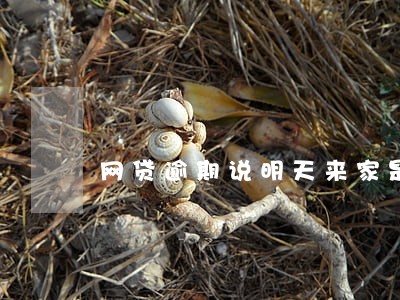 网贷逾期说明天来家是真的吗 网贷逾期说明天来家是真的吗