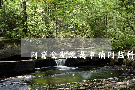 网贷逾期说是申请网监科 网贷逾期说是申请网监科