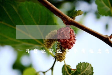 网贷逾期说是申请逃废债 网贷逾期说是申请逃废债