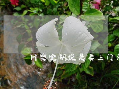 网贷逾期说是要上门外访 网贷逾期说是要上门外访