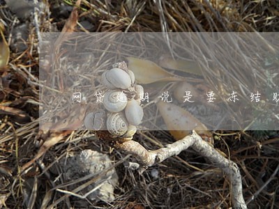 网贷逾期说是要冻结财产 网贷逾期说是要冻结财产