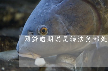 网贷逾期说是转法务部处理 网贷逾期说是转法务部处理