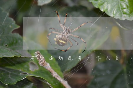 网贷逾期说有工作人员 网贷逾期说有工作人员