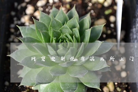 网贷逾期说有派出所上门 网贷逾期说有派出所上门