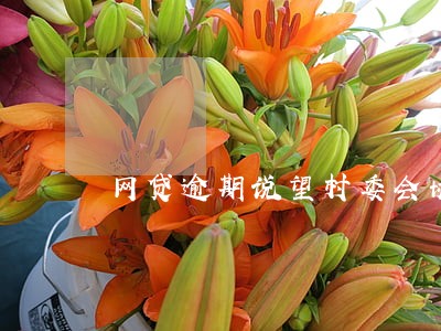 网贷逾期说望村委会协助调查 网贷逾期说望村委会协助调查
