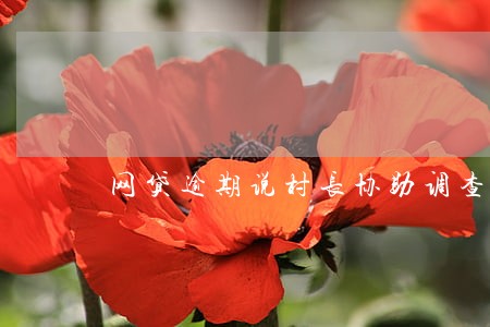 网贷逾期说村长协助调查 网贷逾期说村长协助调查
