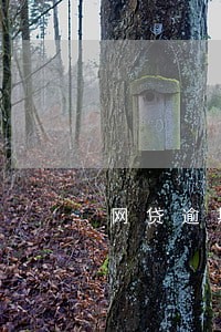 网贷逾期说来我家 网贷逾期说来我家
