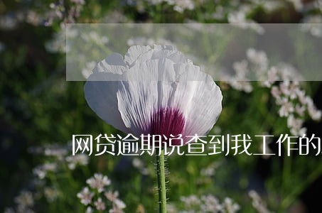 网贷逾期说查到我工作的地方 网贷逾期说查到我工作的地方