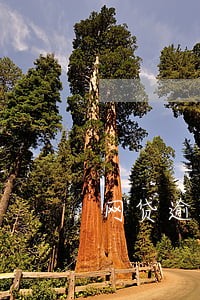 网贷逾期说核实地址准备起诉 网贷逾期说核实地址准备起诉