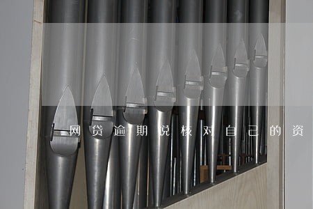 网贷逾期说核对自己的资料 网贷逾期说核对自己的资料