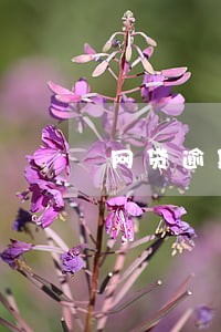 网贷逾期说案件移交法院 网贷逾期说案件移交法院