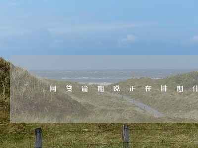 网贷逾期说正在排期什么意思 网贷逾期说正在排期什么意思