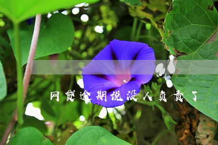 网贷逾期说没人负责了