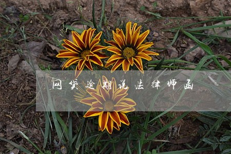 网贷逾期说法律师函 网贷逾期说法律师函