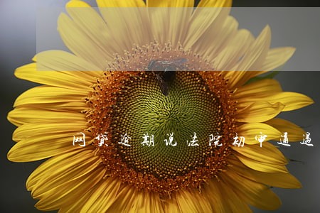 网贷逾期说法院初审通过名单 网贷逾期说法院初审通过名单