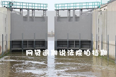 网贷逾期说法院拍档期 网贷逾期说法院拍档期