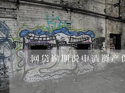 网贷逾期说申请资产保全 网贷逾期说申请资产保全
