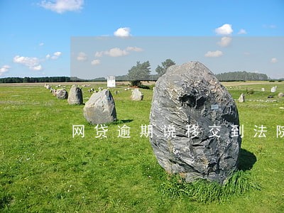 网贷逾期说移交到法院怎么办 网贷逾期说移交到法院怎么办