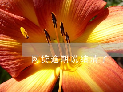 网贷逾期说结清了 网贷逾期说结清了