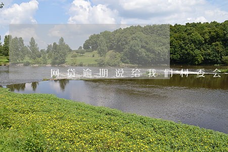 网贷逾期说给我们村委会 网贷逾期说给我们村委会