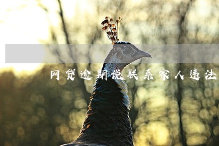 网贷逾期说联系家人违法吗 网贷逾期说联系家人违法吗
