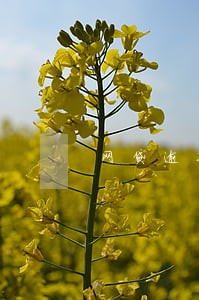 网贷逾期说自驾车上门 网贷逾期说自驾车上门