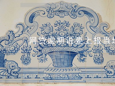 网贷逾期说要上报当地政府 网贷逾期说要上报当地政府