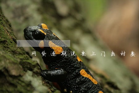 网贷逾期说要上门去村委会