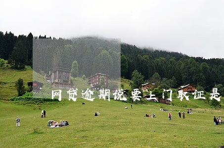 网贷逾期说要上门取证是真的吗 网贷逾期说要上门取证是真的吗