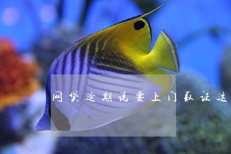 网贷逾期说要上门取证这是真的吗