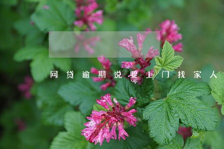 网贷逾期说要上门找家人还 网贷逾期说要上门找家人还