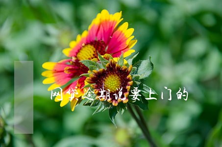 网贷逾期说要上门的 网贷逾期说要上门的