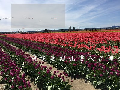 网贷逾期说要入户调查是什么意思 网贷逾期说要入户调查是什么意思