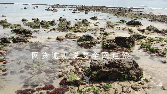 网贷逾期说要全网追偿 网贷逾期说要全网追偿