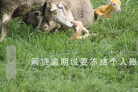 网贷逾期说要冻结个人账户 网贷逾期说要冻结个人账户