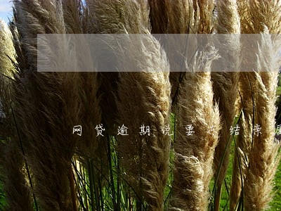 网贷逾期说要冻结亲属财产 网贷逾期说要冻结亲属财产