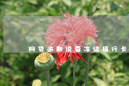 网贷逾期说要冻结银行卡