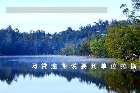 网贷逾期说要到单位拉横幅 网贷逾期说要到单位拉横幅