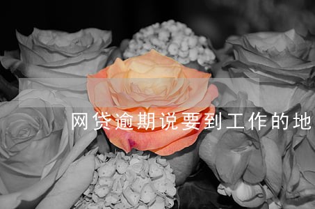 网贷逾期说要到工作的地方 网贷逾期说要到工作的地方
