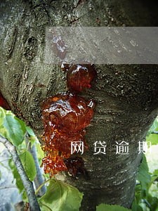 网贷逾期说要到法院 网贷逾期说要到法院