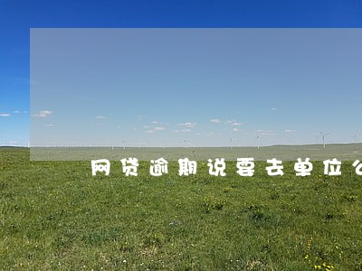 网贷逾期说要去单位公司 网贷逾期说要去单位公司