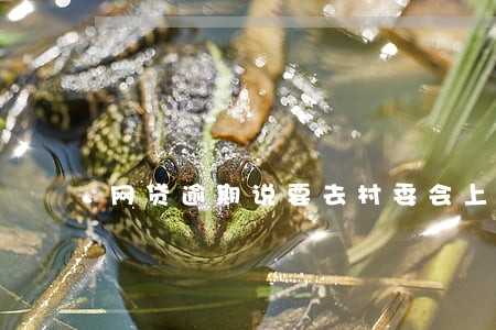 网贷逾期说要去村委会上门 网贷逾期说要去村委会上门
