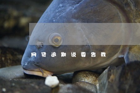 网贷逾期说要告我 网贷逾期说要告我
