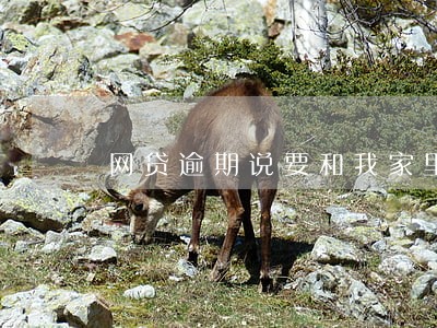 网贷逾期说要和我家里打电话